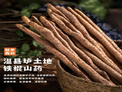 铁棍山药