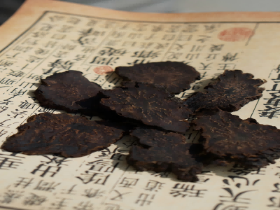 肉苁蓉（荒漠）